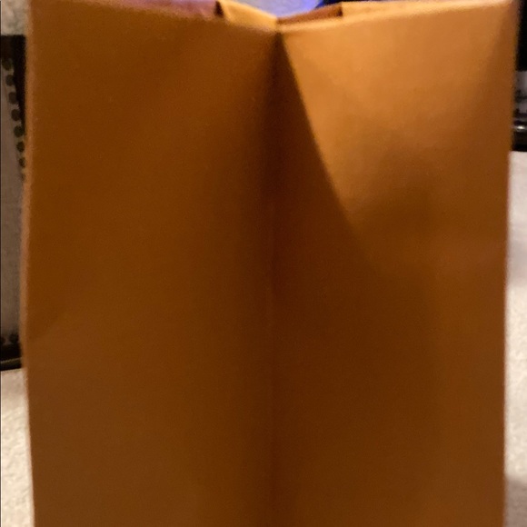 Louis Vuitton empty shopping bag 19” x 16” x 9” - Picture 4 of 7